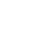 Qualification icon