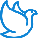 Vision icon