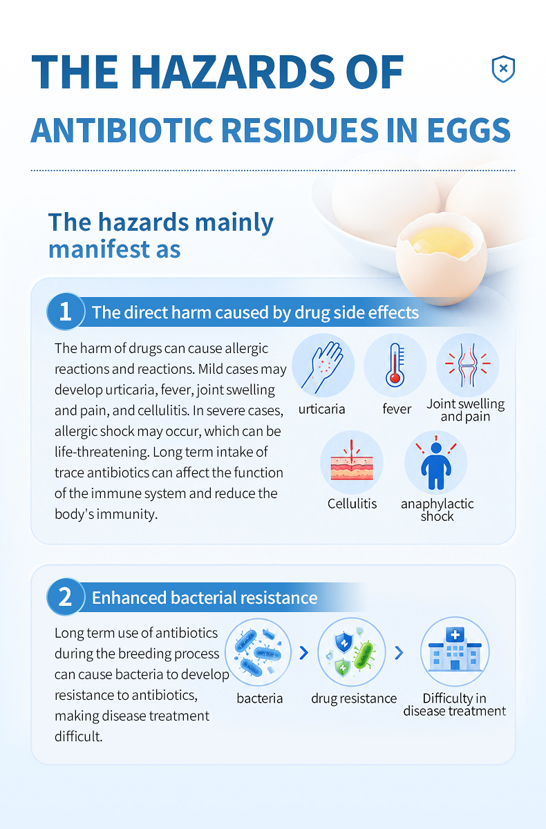 Health risk awareness chart showing dangers of antibiotic residue consumption in contaminated egg products